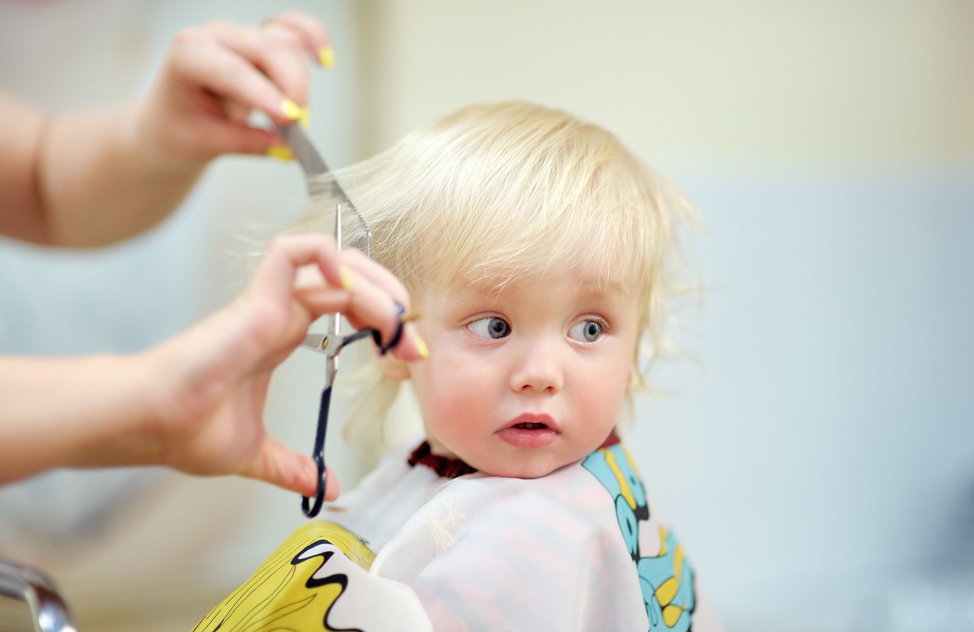 Toddler child getting his first haircut